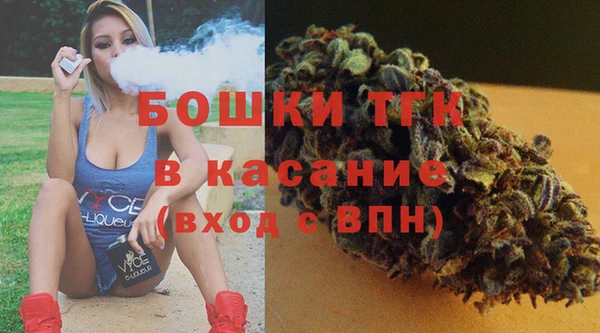 мет Алексин