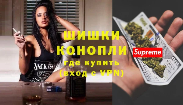 мет Алексин